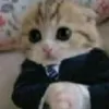 alvin_ls700