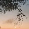 nicolamoiraghi901