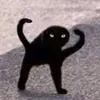 spookyboi286