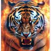 user8430836201515