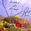 ahkcell29