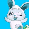 user62413927