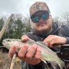 870wingmaster