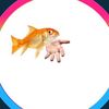 fishinabowl_17
