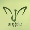Angelo Band