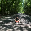 allengyd_7