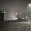 bogdan_popkov