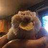 tiny_june26