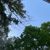 may.ra23