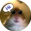 omer_cohen01