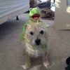 rockybuddy1
