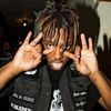 wxckonmysubii