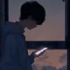 vitiep95_