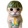 rassya36
