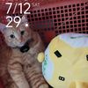 ummi1212