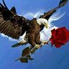 user8437240639981
