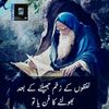 abdullahshaikh6142