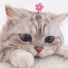 queendolly0121