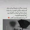 ali.mola9