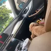 fox_devvvvv