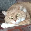lili73garfield