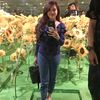 susisofiyanti
