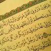 mouhmed4790