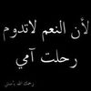mervetmohamed6