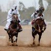 abdulraoufalaswad4