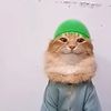 fresheggs21