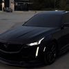 mango_osy29