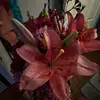 dont.ask.ok_