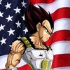 conservative_vegeta