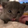 beansmommyyy