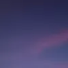 evi_gonc