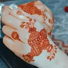 frishtay_07