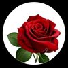 12september92