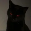 pupsik.t