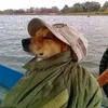 samueljo11