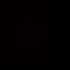 joevine17765