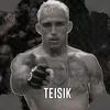 teisikss