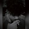 ghamdanoz926