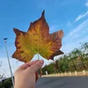 meryem_latifa