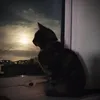katladysue