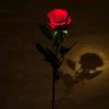 cheema0626