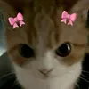 skidimarink_k