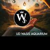 wasisaquarium