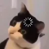 zxvmm2929