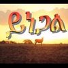 143mara.t
