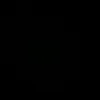 pauli_31_3